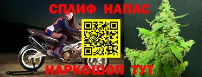 прущие грибы Гусь-Хрустальный